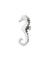 Broche zebra sea horse