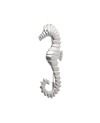 Broche zebra sea horse